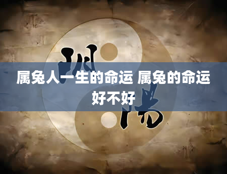 属兔人一生的命运 属兔的命运好不好