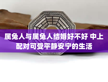 属兔人与属兔人结婚好不好 中上配对可受平静安宁的生活