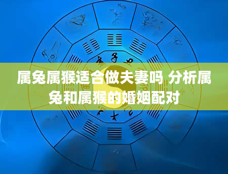 属兔属猴适合做夫妻吗 分析属兔和属猴的婚姻配对