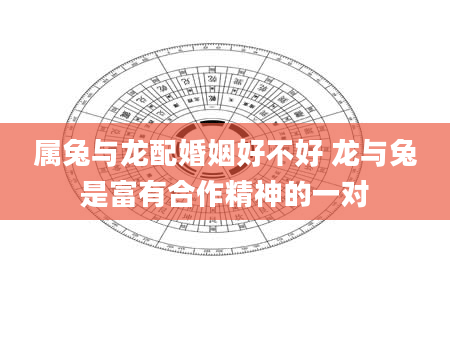 属兔与龙配婚姻好不好 龙与兔是富有合作精神的一对