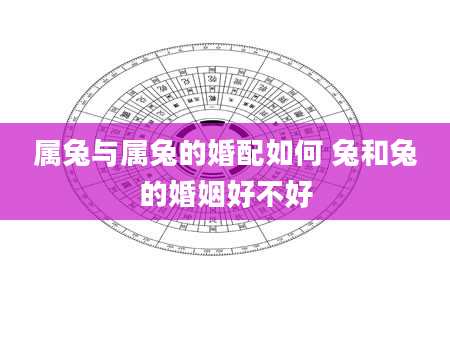 属兔与属兔的婚配如何 兔和兔的婚姻好不好