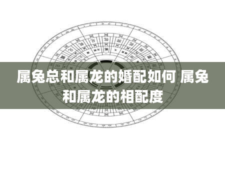 属兔总和属龙的婚配如何 属兔和属龙的相配度