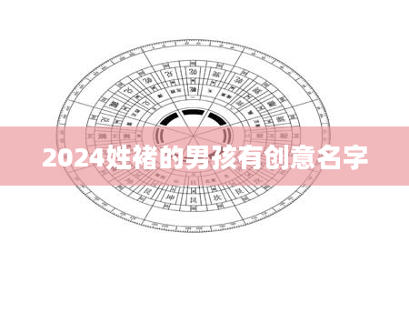 2024姓褚的男孩有创意名字