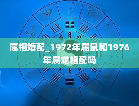 属相婚配_1972年属鼠和1976年属龙相配吗