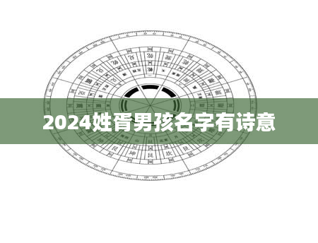 2024姓胥男孩名字有诗意