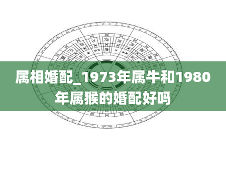 属相婚配_1973年属牛和1980年属猴的婚配好吗