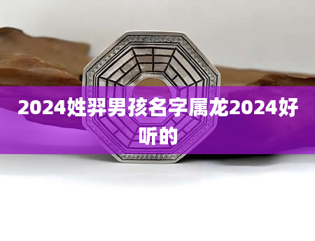 2024姓羿男孩名字属龙2024好听的