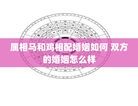 属相马和鸡相配婚姻如何 双方的婚姻怎么样