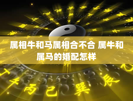 属相牛和马属相合不合 属牛和属马的婚配怎样