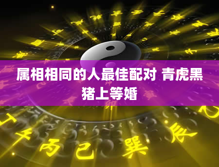 属相相同的人最佳配对 青虎黑猪上等婚