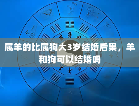 属羊的比属狗大3岁结婚后果，羊和狗可以结婚吗