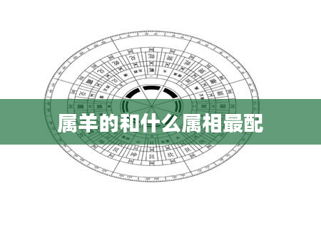 属羊的和什么属相最配