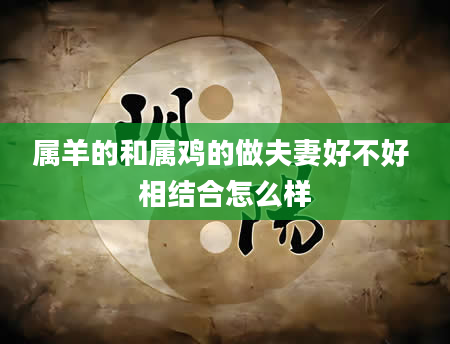 属羊的和属鸡的做夫妻好不好 相结合怎么样