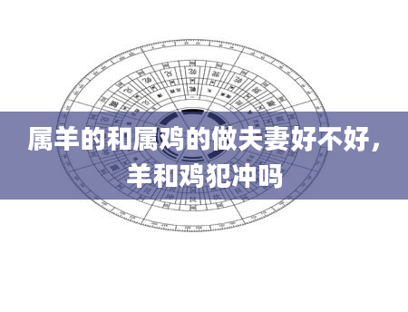 属羊的和属鸡的做夫妻好不好，羊和鸡犯冲吗