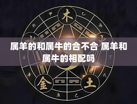 属羊的和属牛的合不合 属羊和属牛的相配吗