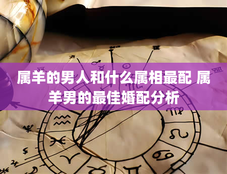 属羊的男人和什么属相最配 属羊男的最佳婚配分析