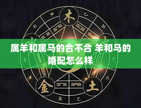 属羊和属马的合不合 羊和马的婚配怎么样