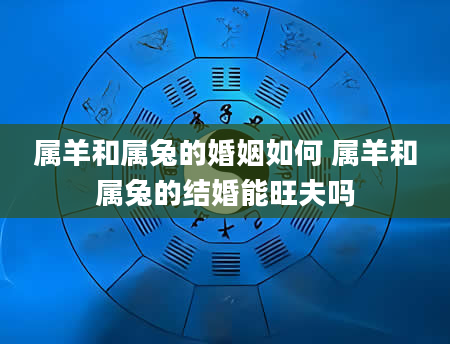 属羊和属兔的婚姻如何 属羊和属兔的结婚能旺夫吗