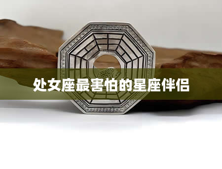 处女座最害怕的星座伴侣