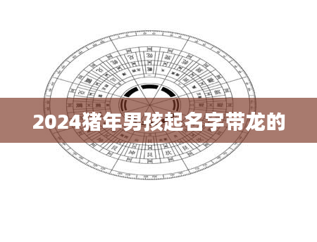 2024猪年男孩起名字带龙的