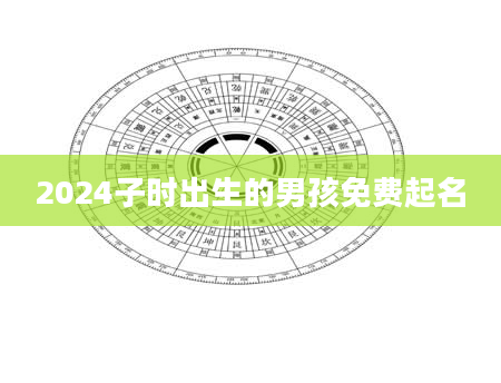 2024子时出生的男孩免费起名