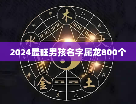 2024最旺男孩名字属龙800个