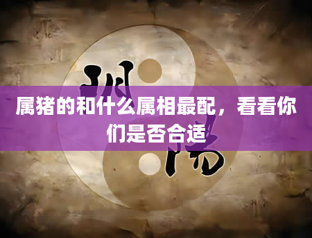 属猪的和什么属相最配，看看你们是否合适