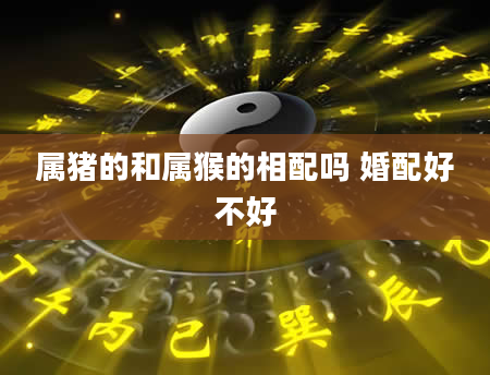 属猪的和属猴的相配吗 婚配好不好