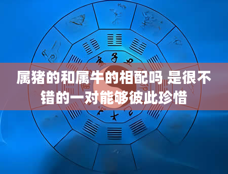 属猪的和属牛的相配吗 是很不错的一对能够彼此珍惜