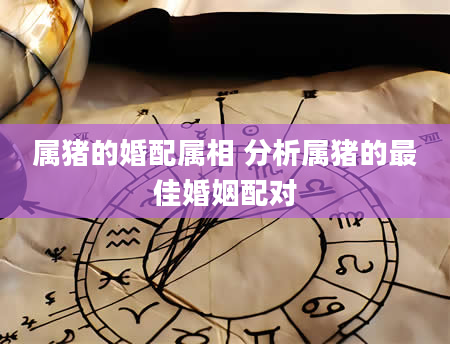 属猪的婚配属相 分析属猪的最佳婚姻配对