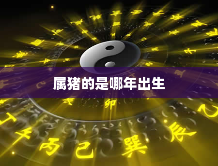 属猪的是哪年出生