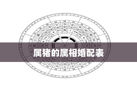 属猪的属相婚配表