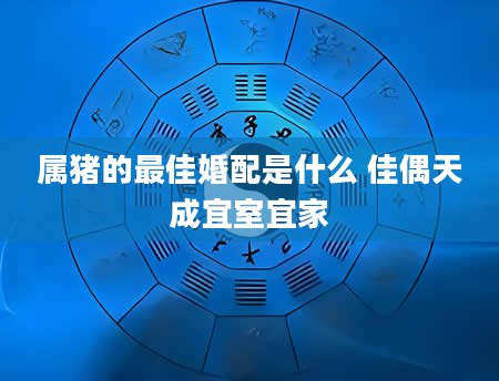属猪的最佳婚配是什么 佳偶天成宜室宜家