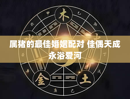 属猪的最佳婚姻配对 佳偶天成永浴爱河