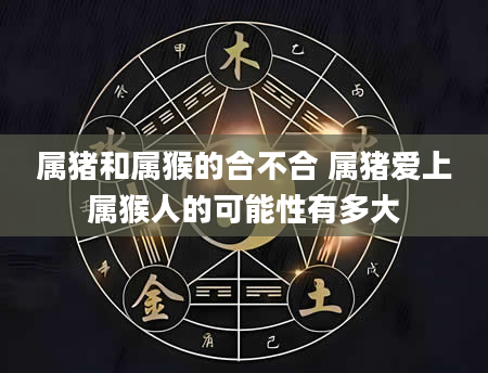 属猪和属猴的合不合 属猪爱上属猴人的可能性有多大
