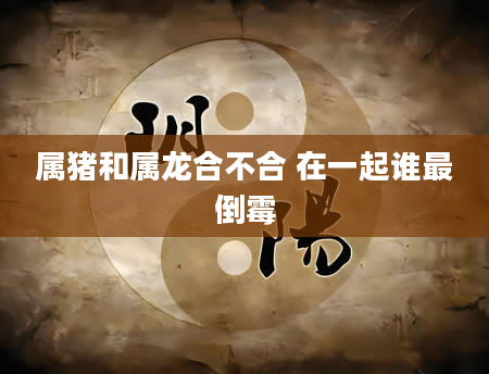 属猪和属龙合不合 在一起谁最倒霉