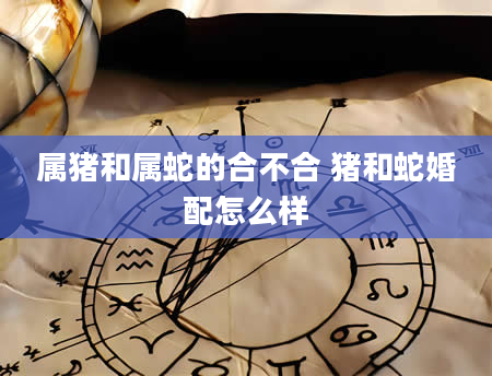 属猪和属蛇的合不合 猪和蛇婚配怎么样