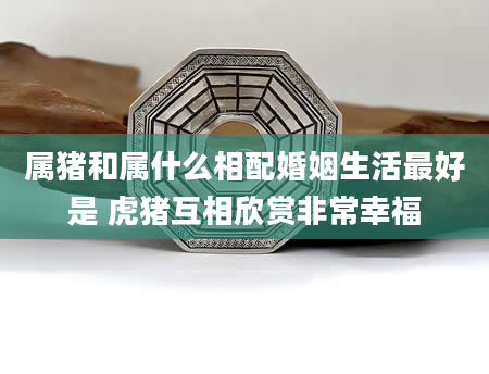 属猪和属什么相配婚姻生活最好是 虎猪互相欣赏非常幸福