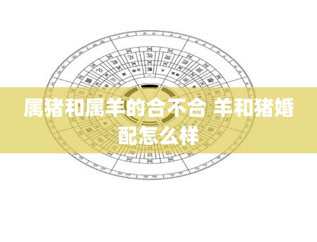 属猪和属羊的合不合 羊和猪婚配怎么样