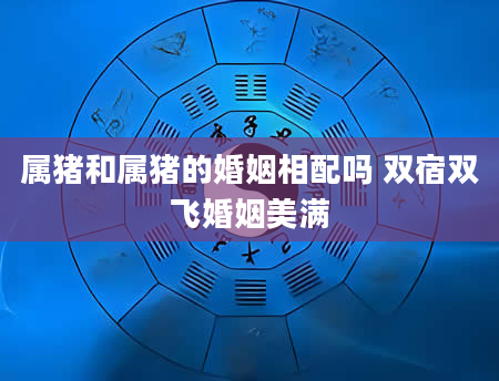 属猪和属猪的婚姻相配吗 双宿双飞婚姻美满