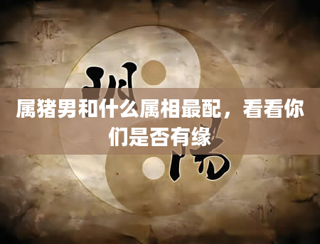 属猪男和什么属相最配，看看你们是否有缘