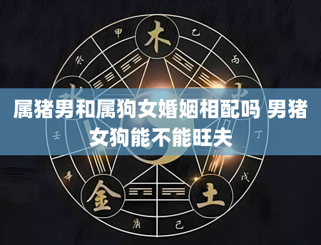 属猪男和属狗女婚姻相配吗 男猪女狗能不能旺夫