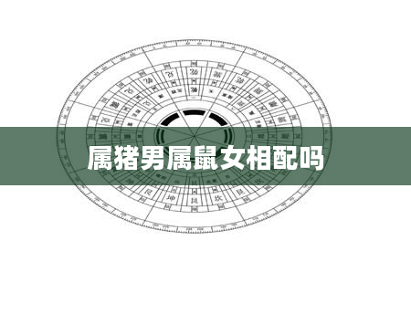 属猪男属鼠女相配吗