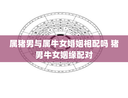 属猪男与属牛女婚姻相配吗 猪男牛女姻缘配对