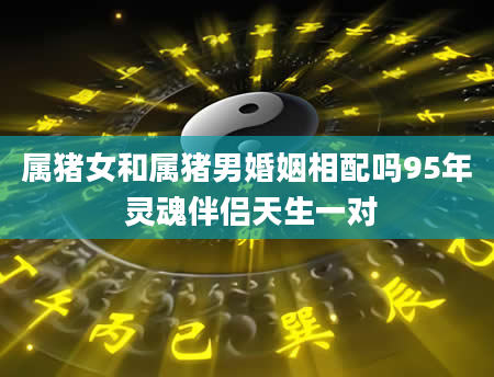 属猪女和属猪男婚姻相配吗95年 灵魂伴侣天生一对