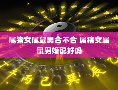 属猪女属鼠男合不合 属猪女属鼠男婚配好吗