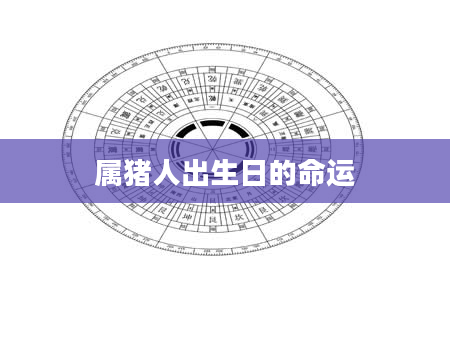 属猪人出生日的命运