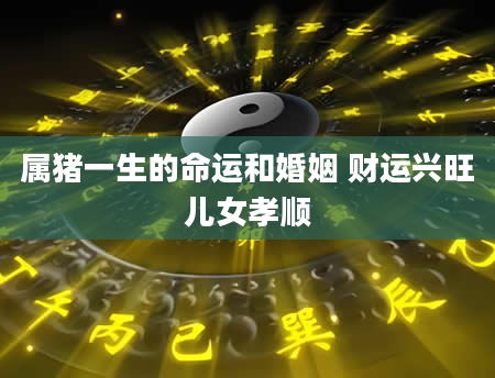 属猪一生的命运和婚姻 财运兴旺儿女孝顺
