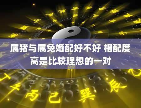 属猪与属兔婚配好不好 相配度高是比较理想的一对