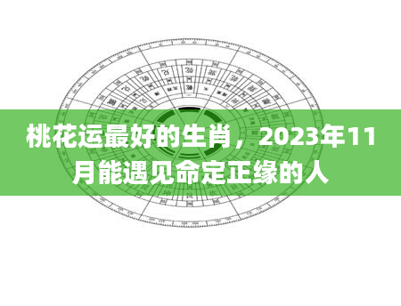 桃花运最好的生肖，2023年11月能遇见命定正缘的人